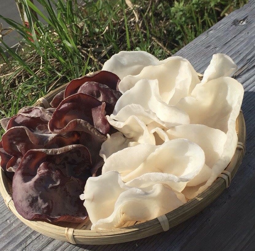 生あらげきくらげ（１００ｇ）