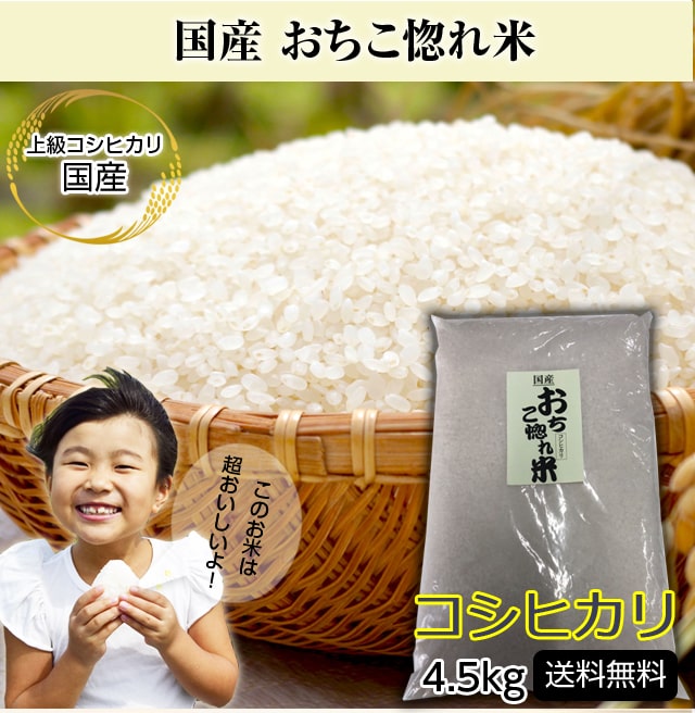 国産コシヒカリ おちこ惚れ米 4.5kg
